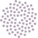 Omnicité
